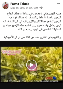 نشر حساب Fatma Taktak هذا الادعاء بتاريخ 16 مايو 2019 بالصيغة الآتية: "مسن اذريبيجاني تخصص في زراعة مختلف انواع الزهور ..لمدة ١٥ عاما ..اكتشف ان هنالك نوع من الزهور تتفتح مع الاذان وظل يراقبه الي ان اكتشف انه ليس بعامل وقت معين ..بل تتفتح هذه الزهور مع اذان الصلوات الخمس في اليوم ..سبحان الله و الغريب ان التقرير معد من قناة سي ان ان الأمريكية"