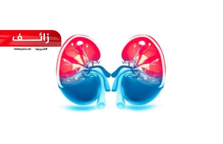علاج الفشل الكلوي