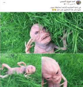 ادعاء العثور على مخلوق غريب في العراق