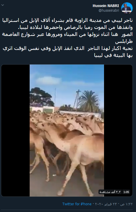 صورة من مصدر الادعاء