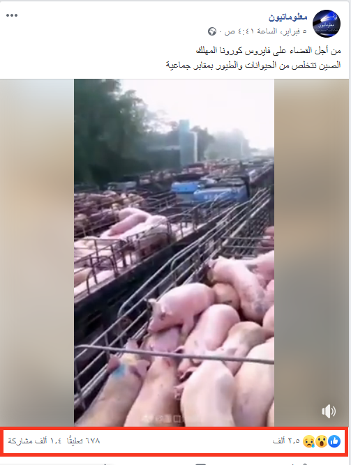 صورة الادعاء بأن الصين تتخلص من الحيوانات والطيور بمقابر جماعية