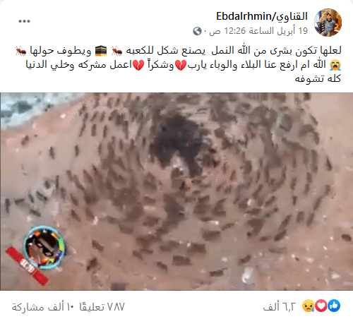 صورة لناشر الادعاء
