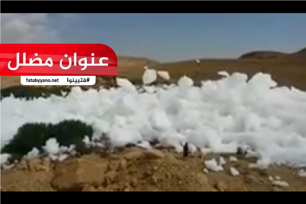 زبد البحيرة