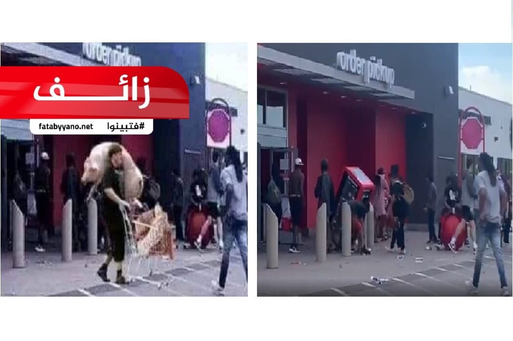 أمريكي يسرق خنزير