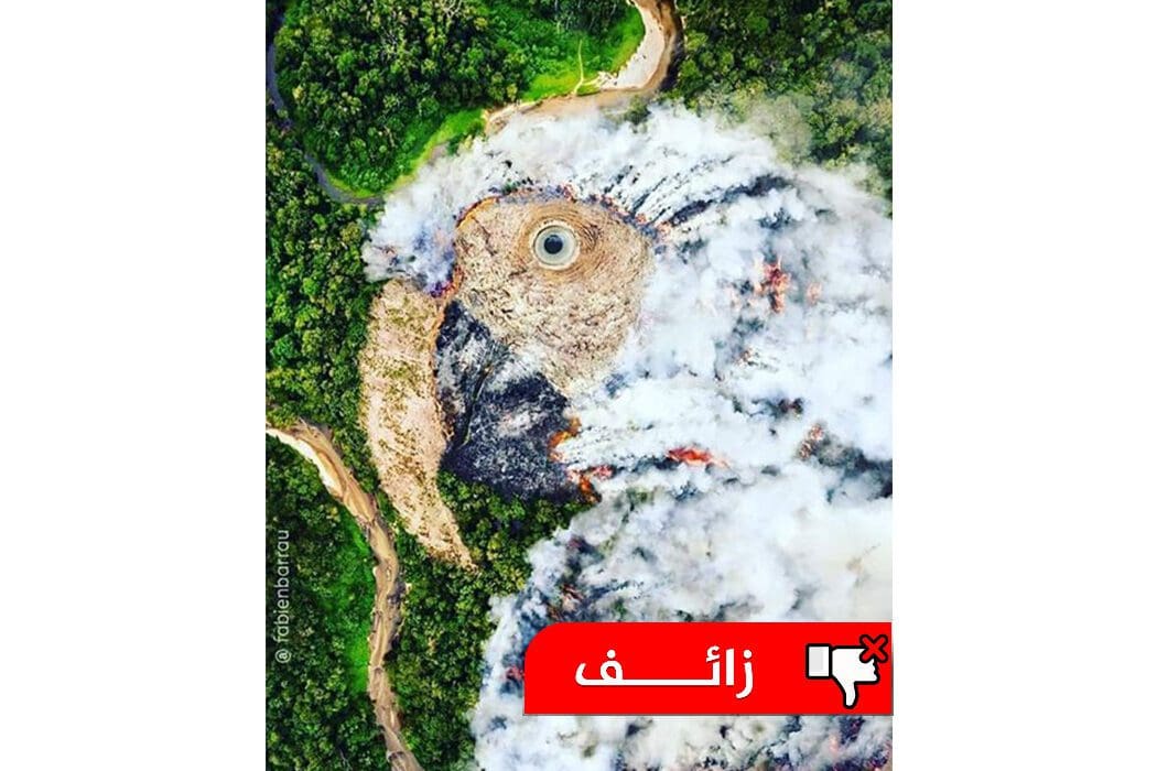 حريق في غابة الأمازون بالبرازيل 🔥🇧🇷 سبحان الله كأنه طائر الببغاء 😲