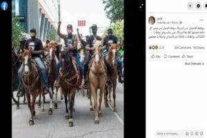 مصدر ادعاء مظاهرة موقعة الجمل - الحصان في أمريكا فتبينوا