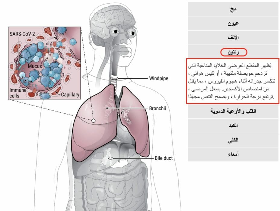 كوفيد 19 يصيب فعلا الجهاز التنفسي ويتسبب في تلفه