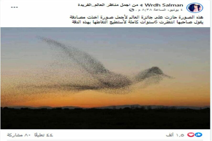 ادعاء مصور انتظر ستة سنوات لالتقاط صورة