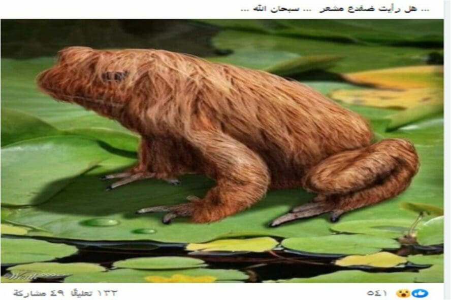 ادعاء ضفدع ذو شعر