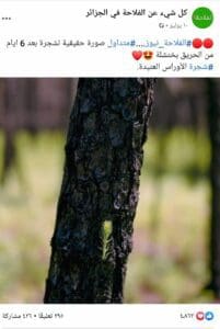 ادعاء حريق خنشلة