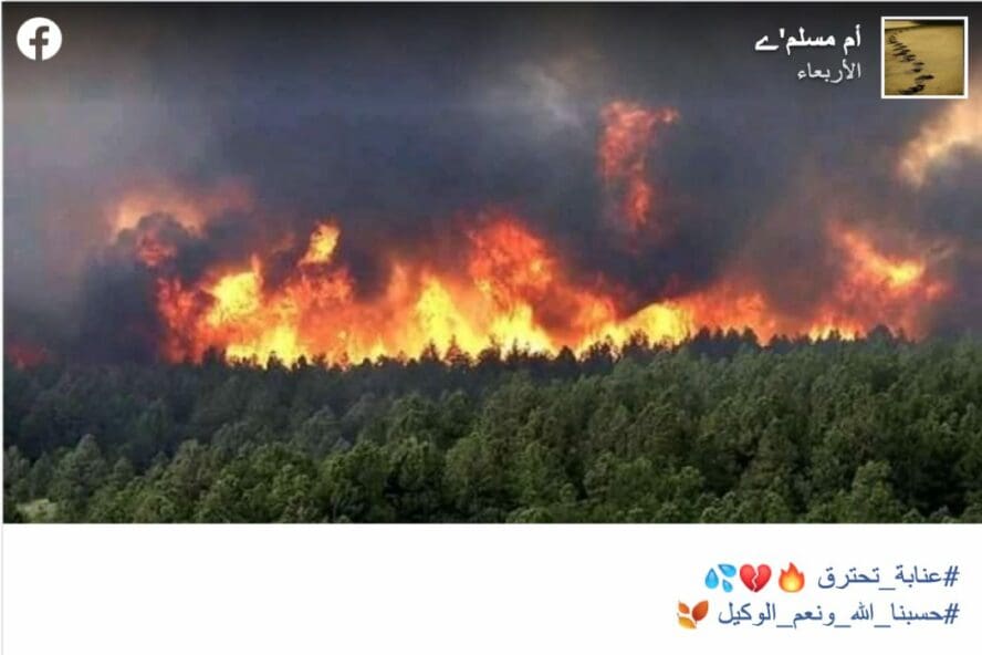 هذه الصورة التقطت في الولايات المتحدة الأمريكية وليس الجزائر