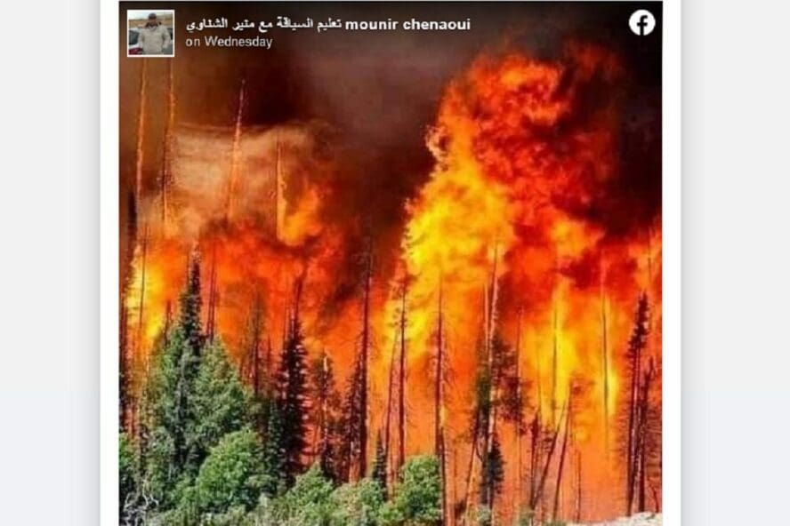 هذه الصورة لا تعود إلى حرائق الجزائر الأخيرة فتبينوا