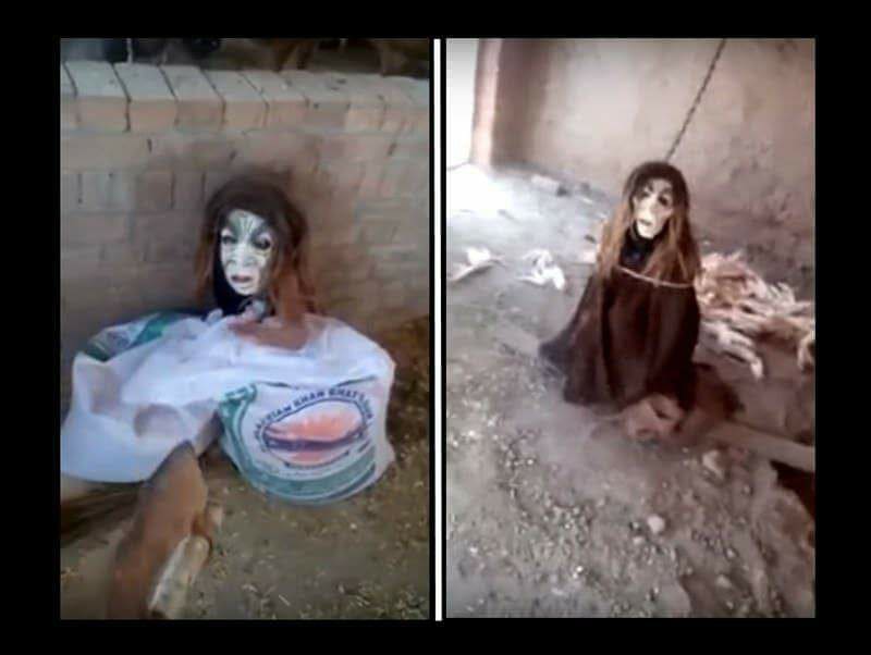 ���� ���� ������ �� ���� ������